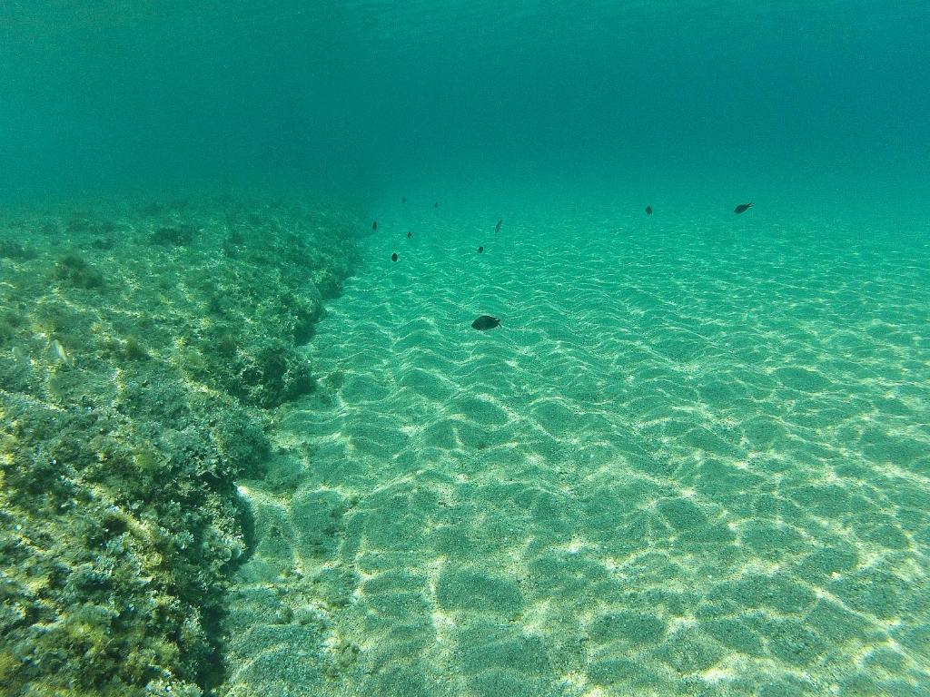 Kopsis Beach Hotel Pefkochori Exteriör bild